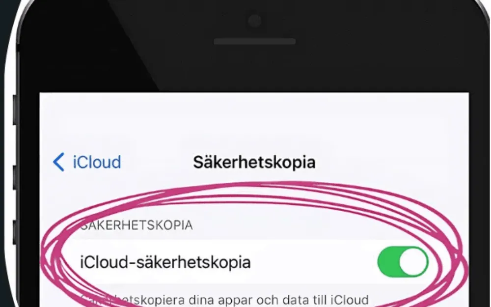 Säkerhetskopiera Iphone