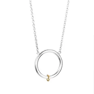 Produktfoto för 101 Halsband Silver 42-45 cm