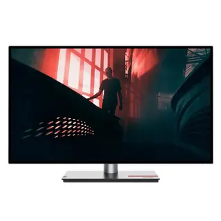 Produktfoto för 27" Lenovo ThinkVision P27h-30 - 2560x1440 - IPS - 100W USB HUB - LAN - 4 ms - Skärm