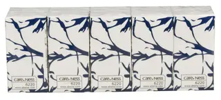 Produktfoto för ABENA Careness Excellent ansiktsservett, 3-lagers, 10 ark, 215 mm, vit