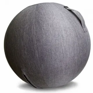 Produktfoto för Abilica FitnessBall Cover, Gymboll