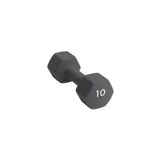 Produktfoto för Abilica Hantel (10 kg)