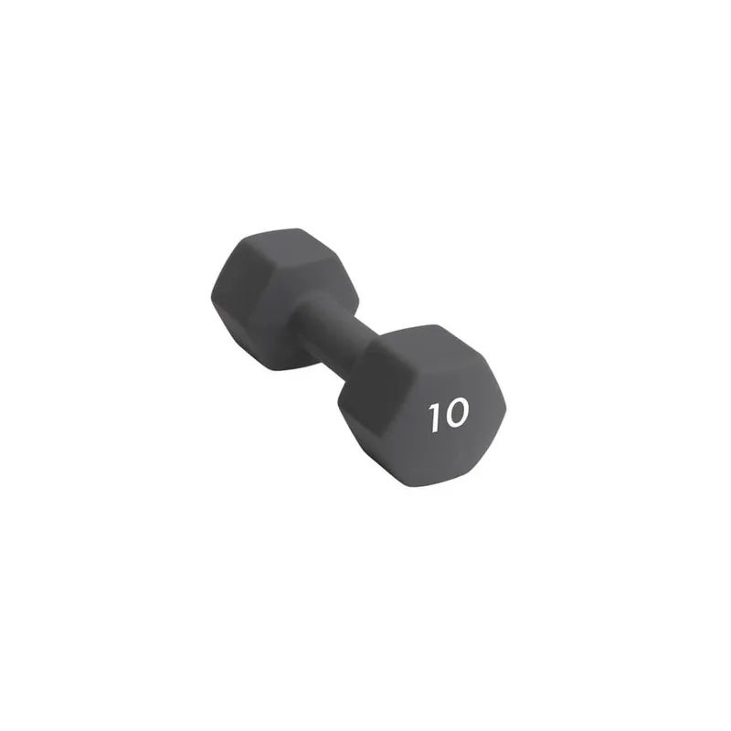 Bild 1 för Abilica Hantel (10 kg)