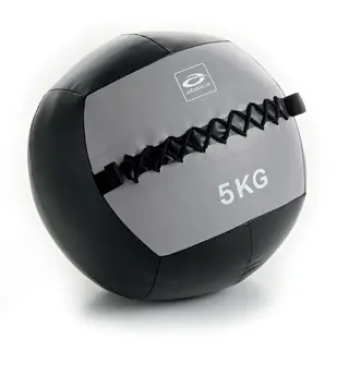 Produktfoto för Abilica WallBall, 5kg