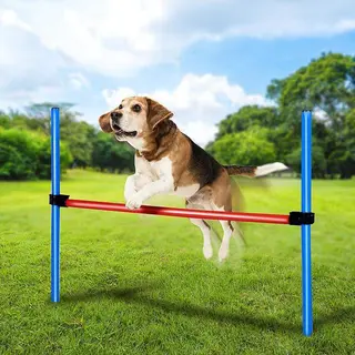 Produktfoto för Agility Hinderpinnar för hundträning 80 cm 3-pack