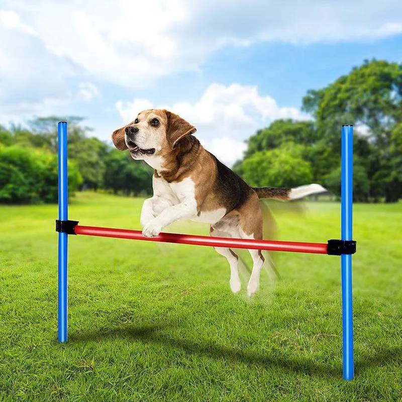 Bild 1 för Agility Hinderpinnar för hundträning 80 cm 3-pack
