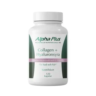Produktfoto för Alpha Plus Collagen + Hyaluronsyra