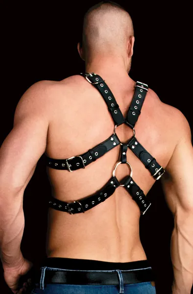 Bild 2 för Andres Chest Harness