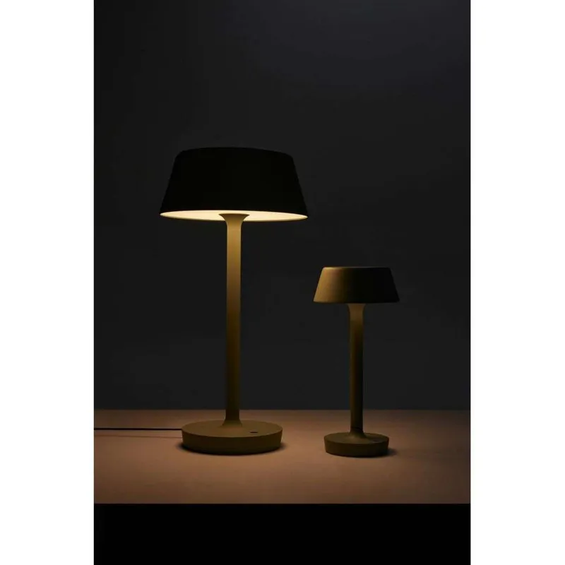 Bild 1 för Antidark - Companion Big T2 Bordslampa Dusty GreenAntidark