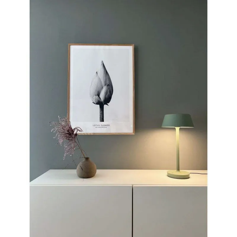 Bild 3 för Antidark - Companion Big T2 Bordslampa Dusty GreenAntidark