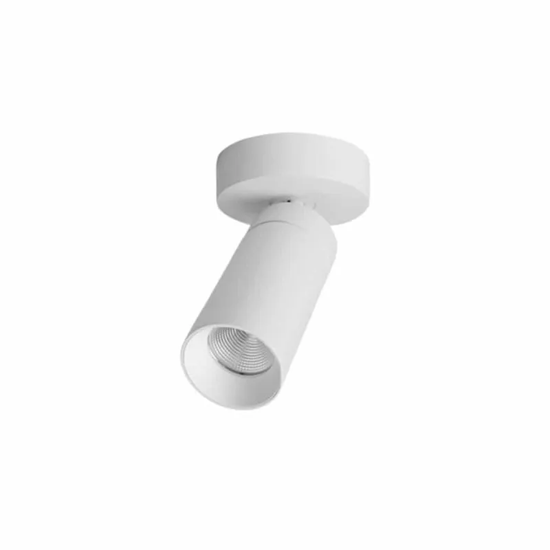 Bild 1 för Antidark - S16 Fixed Mounting Takspot 2700k White/White Antidark