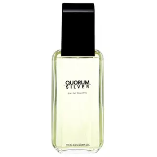 Produktfoto för Antonio Puig Quorum Silver edt 100ml