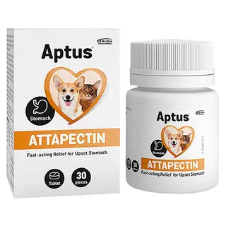 Produktfoto för Aptus Attapectin Tabletter 30 st