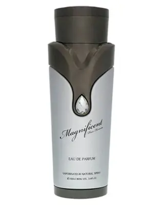 Produktfoto för Armaf Magnificent Pour Homme edp 100ml