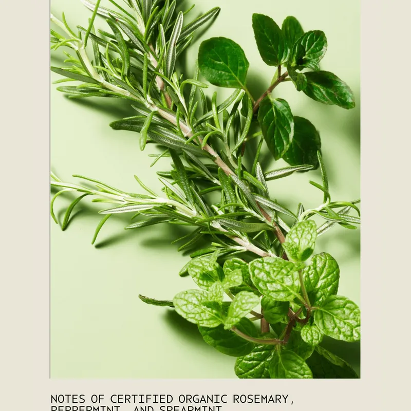 Bild 4 för Aveda Rosemary Mint Weightless Conditioner 250 ml