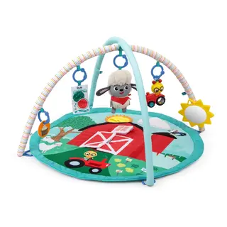 Produktfoto för Baby Einstein Touch & Feel Activity Gym (BE-17326)