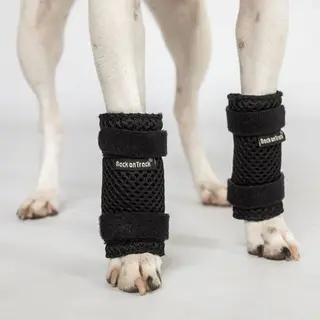 Produktfoto för Back on Track Milo Benskydd till Hund 2-pack (M)