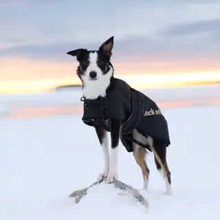 Produktfoto för Back on track - Winter coat 43 cm - (734004110624)