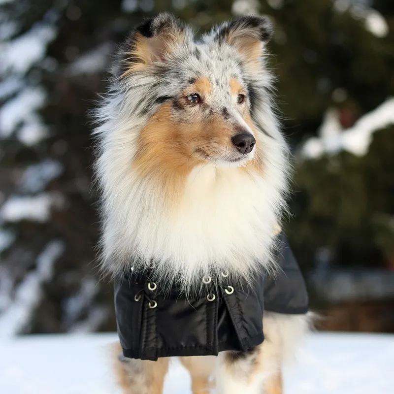 Bild 2 för Back on track - Winter coat 43 cm - (734004110624)
