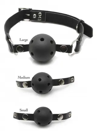 Produktfoto för Ball Gag Training System