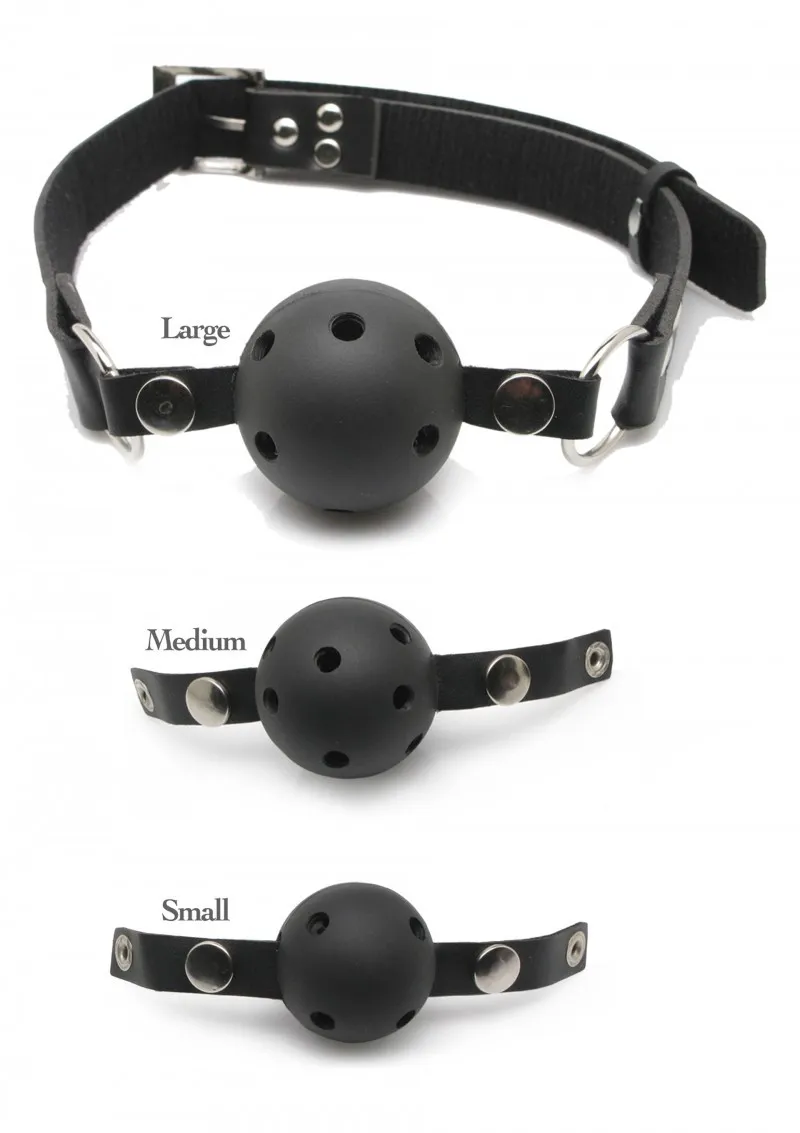 Bild 1 för Ball Gag Training System