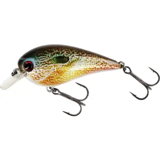 Produktfoto för BassBite 2.5 Squarebill Wobbler 7 cm 16 g Floating