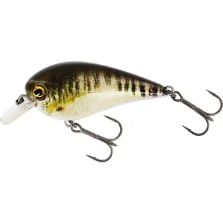 Produktfoto för BassBite 2.5 Squarebill Wobbler 7 cm 16 g Floating