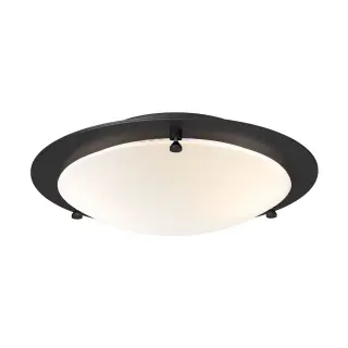 Produktfoto för Belid - Cirklo Plafond Ø30 Black Belid