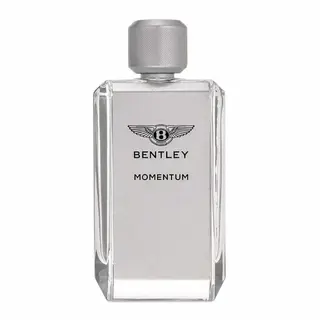 Produktfoto för Bentley Momentum edt 100ml