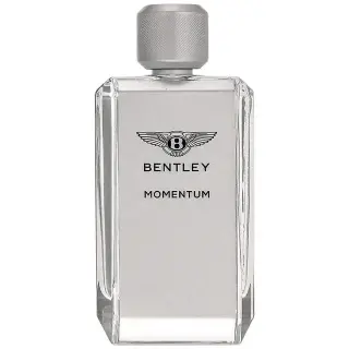 Produktfoto för Bentley Momentum edt 100ml