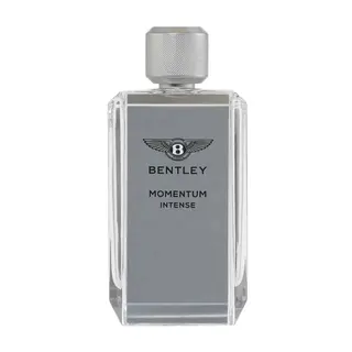 Produktfoto för Bentley Momentum Intense edp 100ml