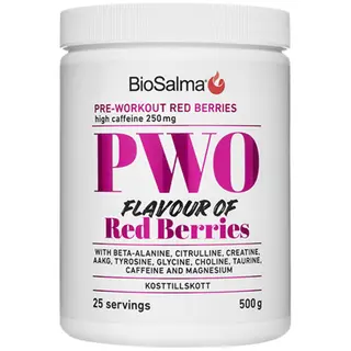 Produktfoto för BioSalma PWO Red Berries 500 g