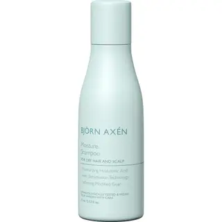 Produktfoto för Björn Axén Travel Size Moisture Shampoo 75 ml
