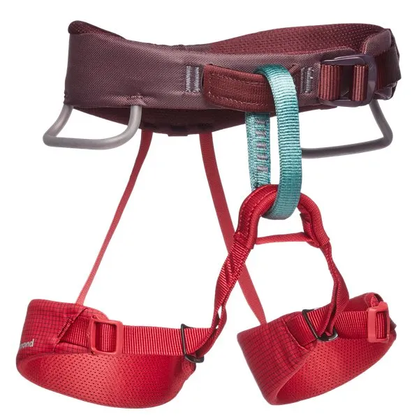 Bild 1 för Black Diamond Momentum Harness - Kids' Wild Rose