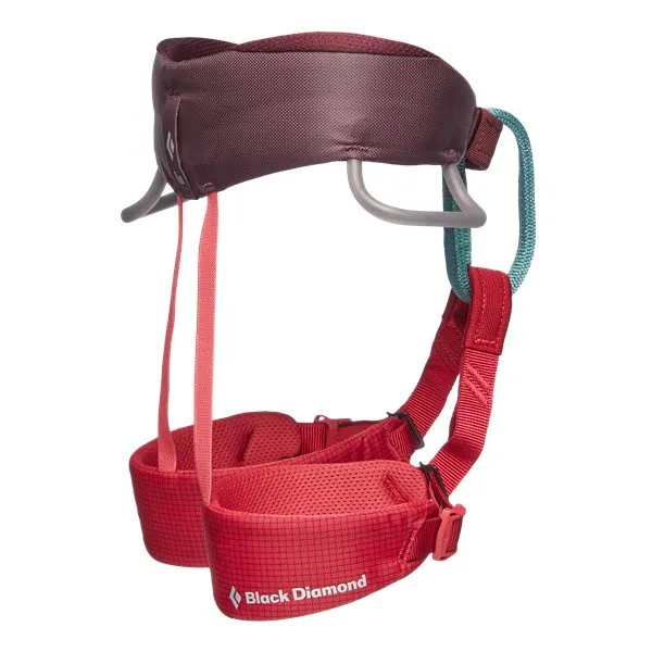 Bild 2 för Black Diamond Momentum Harness - Kids' Wild Rose