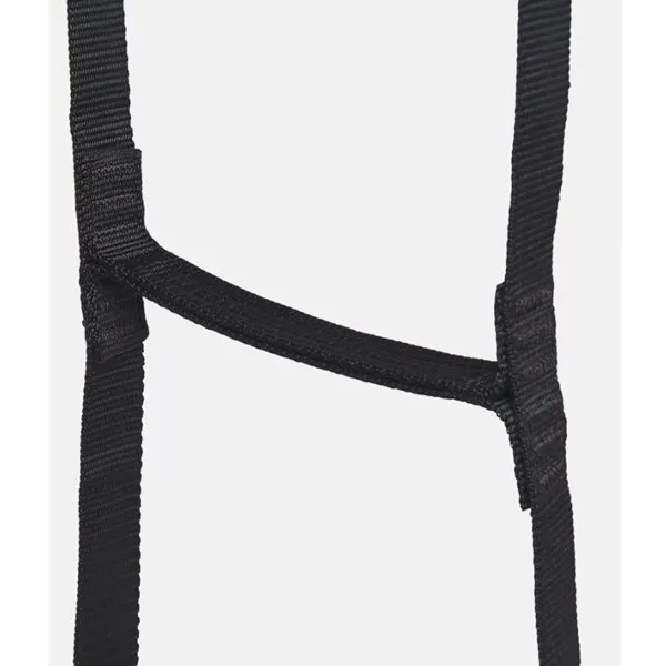 Bild 2 för Black Diamond Stepup 6 Ladder Black