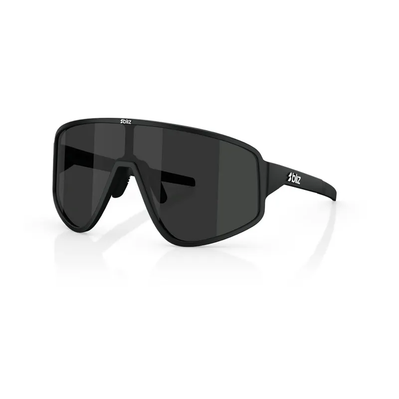 Bild 1 för Bliz A004  Matte Black w/ Smoke