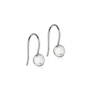 Produktfoto för Blomdahl Örhänge Pendant Bezel Crystal