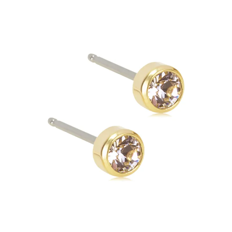 Bild 1 för Blomdahl örhängen Blomdahl GT Bezel 4 mm Crystal 1 par