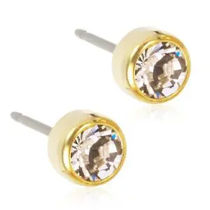 Produktfoto för Blomdahl örhängen Blomdahl GT Bezel 5 mm Crystal 1 par