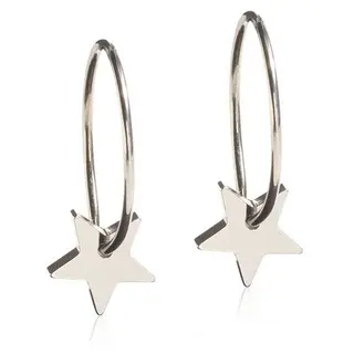 Produktfoto för Blomdahl örhängen Blomdahl NT Ear Ring Pendant Star 8 mm
