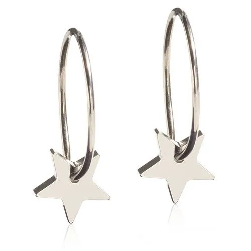 Alternativ bild 0 för Blomdahl örhängen Blomdahl NT Ear Ring Pendant Star 8 mm