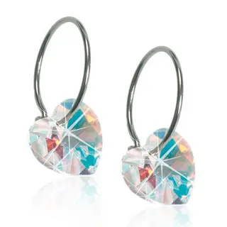 Produktfoto för Blomdahl örhängen Blomdahl NT Heart 10 mm Rainbow