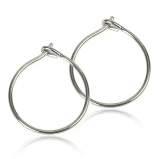 Produktfoto för Blomdahl örhängen Blomdahl NT Safety Ear Ring 12 mm 1 par