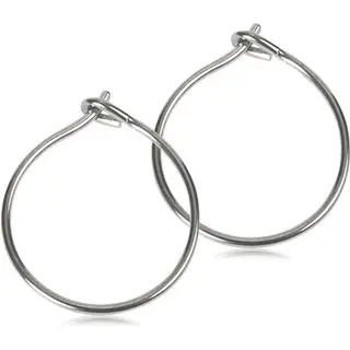 Produktfoto för Blomdahl örhängen Blomdahl NT Safety Ear Ring 14 mm