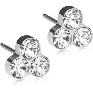 Produktfoto för Blomdahl örhängen Blomdahl ST Clover 8 mm Crystal