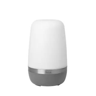 Produktfoto för Blomus - Spirit LED Portable Utomhus Lampa Large Warm Gray