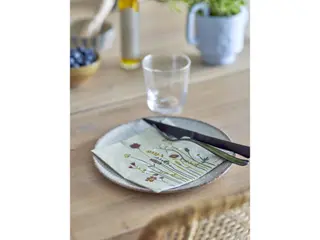 Produktfoto för BLOOMINGVILLE Paige Servett, Natural, FSC&reg; Mix, Papper, set om 20