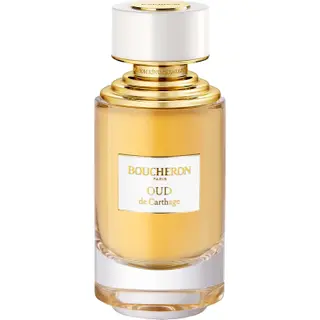 Produktfoto för Boucheron   Oud de Carthage 125 ml