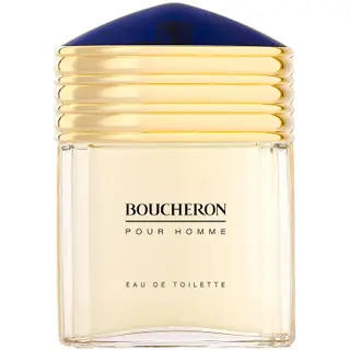 Produktfoto för Boucheron Pour Homme EDT 100 ml